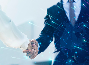 Capital optimization & financial restructuring